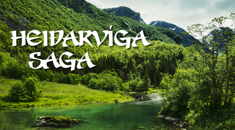 Heiðarvíga saga